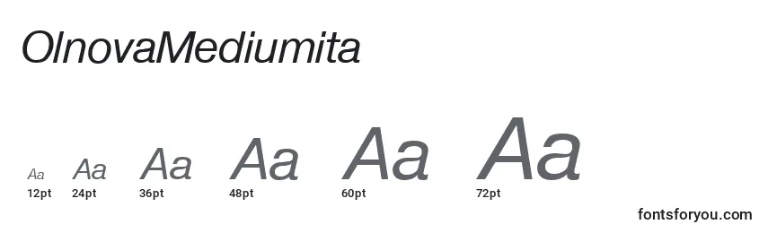 Размеры шрифта OlnovaMediumita
