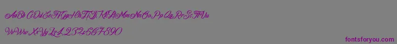 FireOnTheMountain Font – Purple Fonts on Gray Background