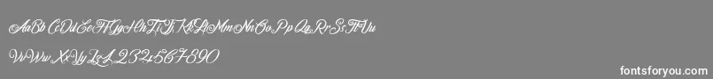 FireOnTheMountain Font – White Fonts on Gray Background