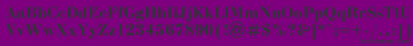 Bodonib Font – Black Fonts on Purple Background