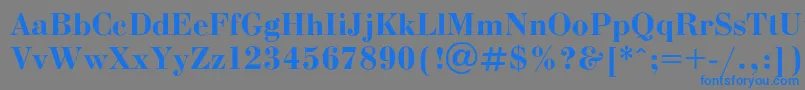 フォントBodonib – 灰色の背景に青い文字