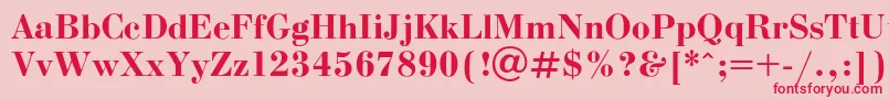 Bodonib Font – Red Fonts on Pink Background