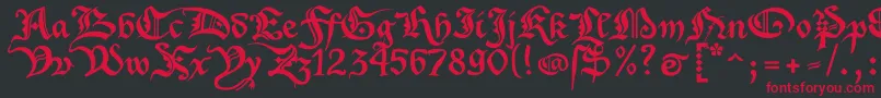 Xenippa1 Font – Red Fonts on Black Background