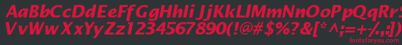 Machadosansssk ffy Font – Red Fonts on Black Background