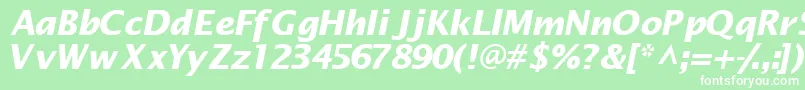 Machadosansssk ffy Font – White Fonts on Green Background