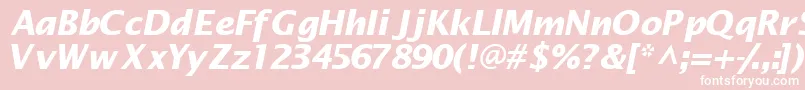 Machadosansssk ffy Font – White Fonts on Pink Background