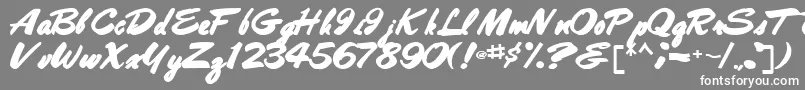 Bestshottext56Bold-Schriftart – Weiße Schriften auf grauem Hintergrund