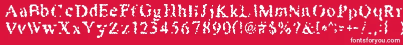 Honeybomb Font – White Fonts on Red Background