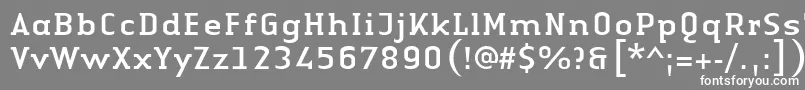 LinotypeAuthenticSerifRegular Font – White Fonts on Gray Background