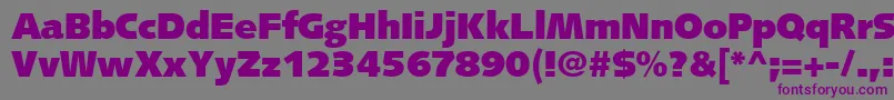 FacileBlackSsiBlack Font – Purple Fonts on Gray Background
