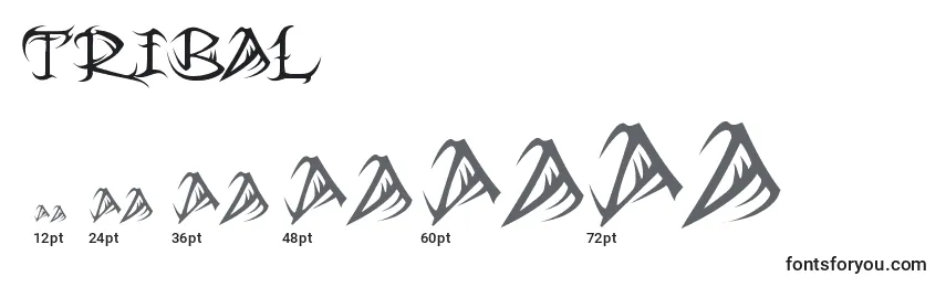Размеры шрифта Tribal