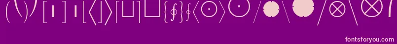 LucidaBrightMathExtensionRegular Font – Pink Fonts on Purple Background