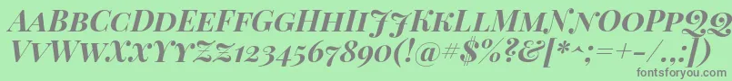 PlayfairDisplayScBoldItalic Font – Gray Fonts on Green Background