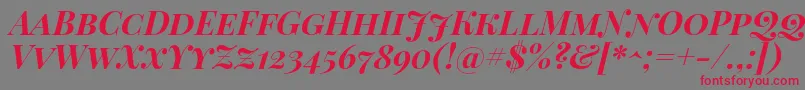 PlayfairDisplayScBoldItalic Font – Red Fonts on Gray Background