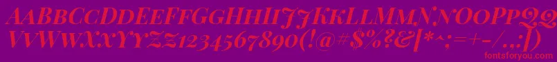 PlayfairDisplayScBoldItalic Font – Red Fonts on Purple Background