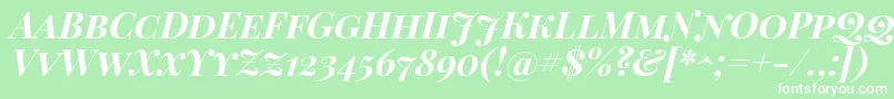 PlayfairDisplayScBoldItalic Font – White Fonts on Green Background