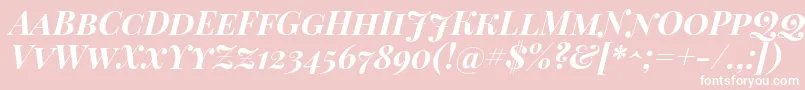 Шрифт PlayfairDisplayScBoldItalic – белые шрифты на розовом фоне