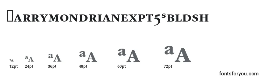 Garrymondrianexpt5Sbldsh Font Sizes