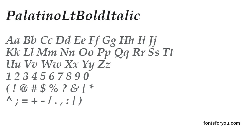 Czcionka PalatinoLtBoldItalic – alfabet, cyfry, specjalne znaki