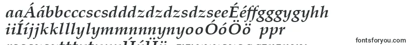 Шрифт PalatinoLtBoldItalic – венгерские шрифты