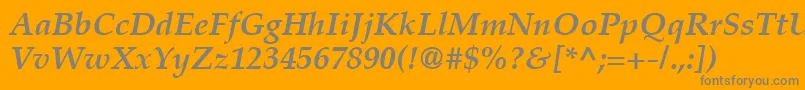 PalatinoLtBoldItalicフォントについての詳細 フォントPalatinoLtBoldItalic – オレンジの背景に灰色の文字