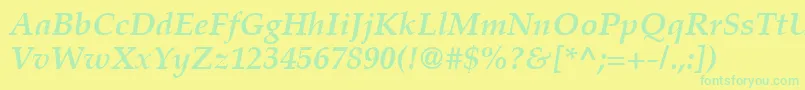 PalatinoLtBoldItalic Font – Green Fonts on Yellow Background