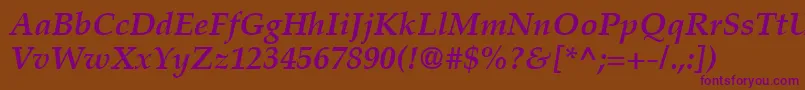 PalatinoLtBoldItalic Font – Purple Fonts on Brown Background