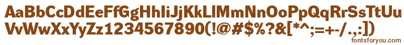 Шрифт DynagroteskdeBold – коричневые шрифты на белом фоне