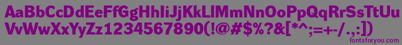Шрифт DynagroteskdeBold – фиолетовые шрифты на сером фоне