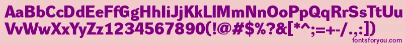 DynagroteskdeBold Font – Purple Fonts on Pink Background