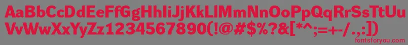 DynagroteskdeBold Font – Red Fonts on Gray Background