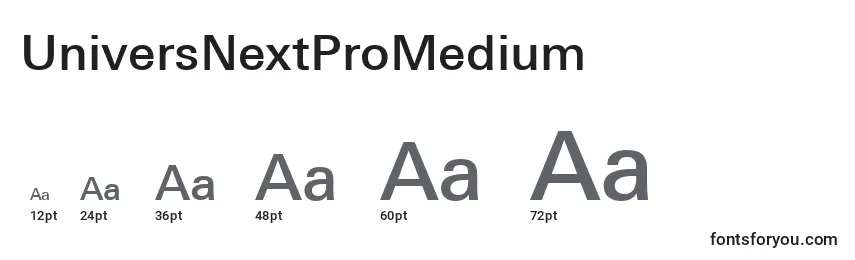 UniversNextProMedium Font Sizes