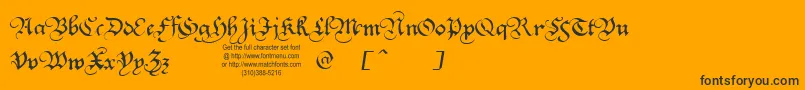 SquareTextTryout Font – Black Fonts on Orange Background