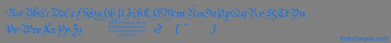 SquareTextTryout-fontti – siniset fontit harmaalla taustalla