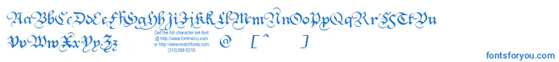 Шрифт SquareTextTryout – синие шрифты на белом фоне