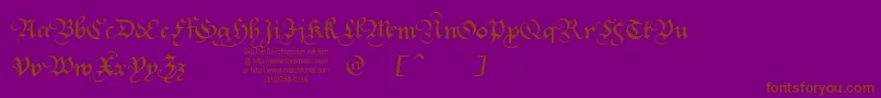 Fonte SquareTextTryout – fontes marrons em um fundo roxo