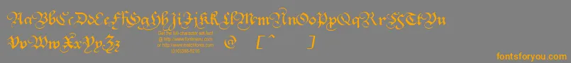 フォントSquareTextTryout – オレンジの文字は灰色の背景にあります。