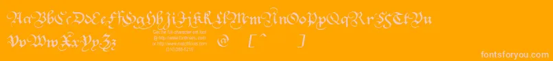 SquareTextTryout Font – Pink Fonts on Orange Background