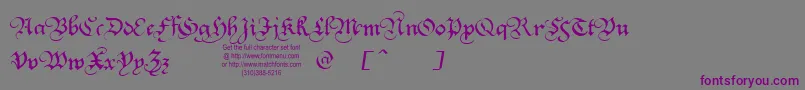 SquareTextTryout Font – Purple Fonts on Gray Background