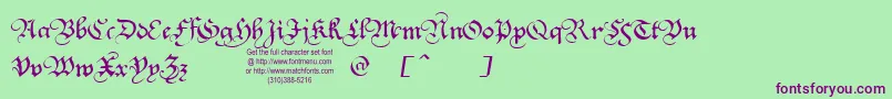 SquareTextTryout Font – Purple Fonts on Green Background