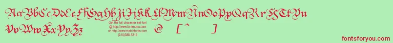 SquareTextTryout-Schriftart – Rote Schriften auf grünem Hintergrund