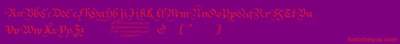 SquareTextTryout Font – Red Fonts on Purple Background