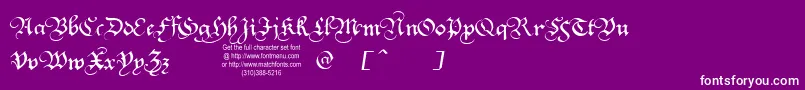SquareTextTryout Font – White Fonts on Purple Background