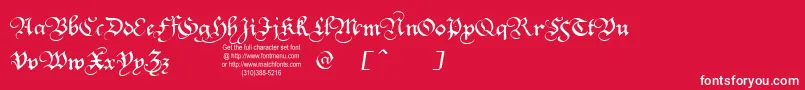 SquareTextTryout-Schriftart – Weiße Schriften auf rotem Hintergrund