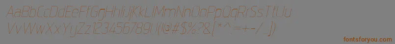 IntropolThinitalic Font – Brown Fonts on Gray Background