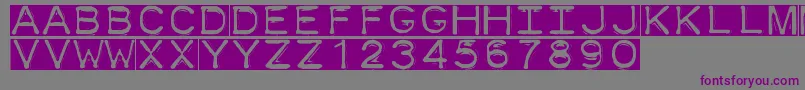 フォントDymofontinvers – 紫色のフォント、灰色の背景
