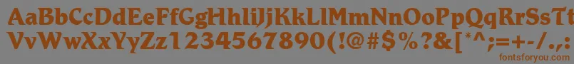 RomicLtExtraBold Font – Brown Fonts on Gray Background