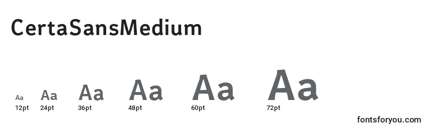 CertaSansMedium Font Sizes