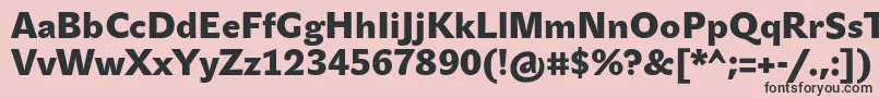 JohnsansBlackPro Font – Black Fonts on Pink Background