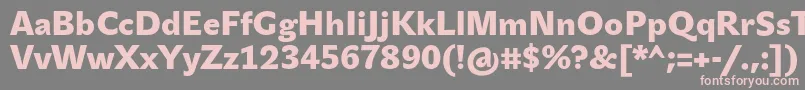 JohnsansBlackPro Font – Pink Fonts on Gray Background